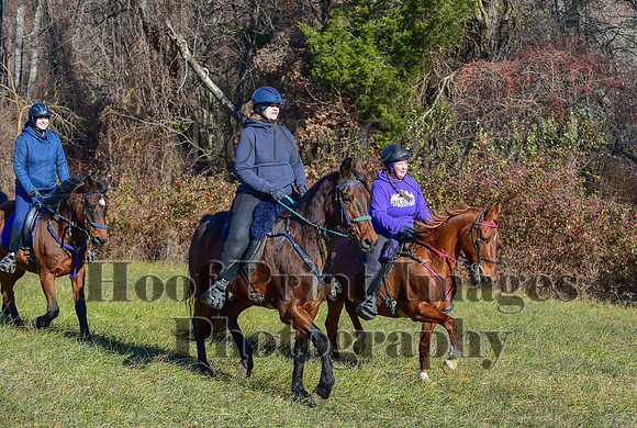 FairHillFallPC(11-30-24)0279