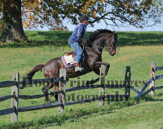 Cheshire(10-20-13)0655