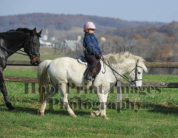 AndrewsBr(11-9-14)0152