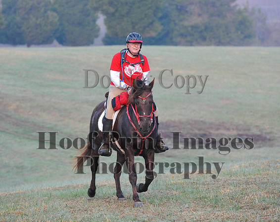 Foxcatcher(4-12-14)0111