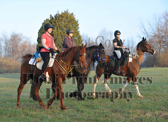 Foxcatcher(4-12-14)0244