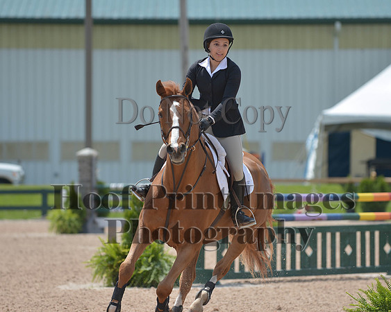 BRSa(5-17-14)HChAdJ0247