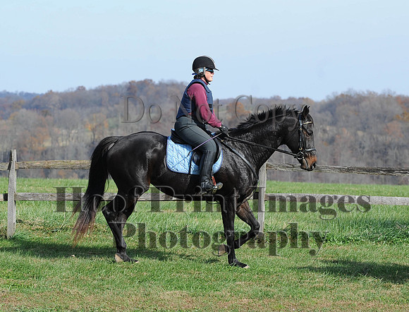 AndrewsBr(11-9-14)0279