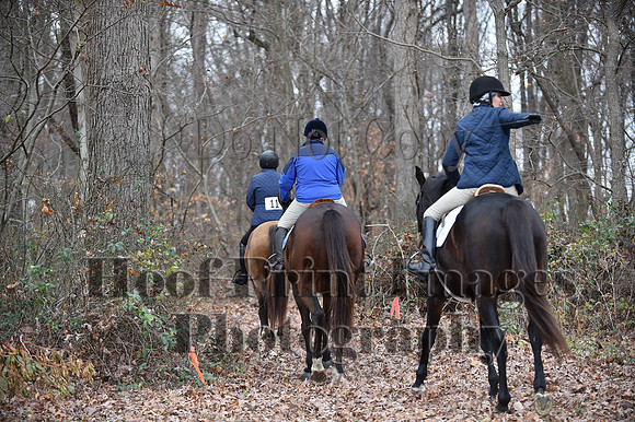 AndrewsBrHuntPace(11-10-24)0200