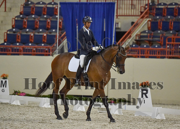 CWdressageI(8-20-16)1366