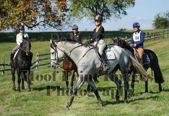 Cheshire(10-20-13)0089