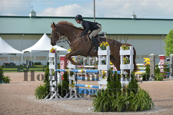 BRSa(5-17-14)HChAdJ0105