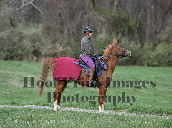 ChesapeakeSpring(4-10-22)0134