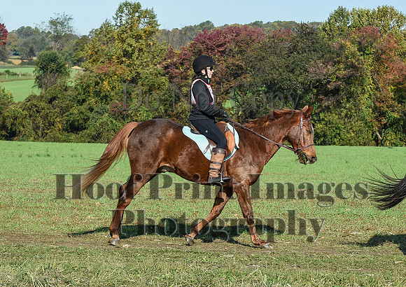 CheshirePC(10-18-20)0035