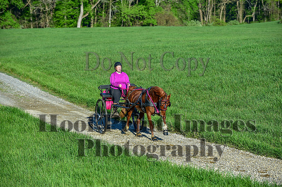 ChesapeakeSpring(4-27-25)0022