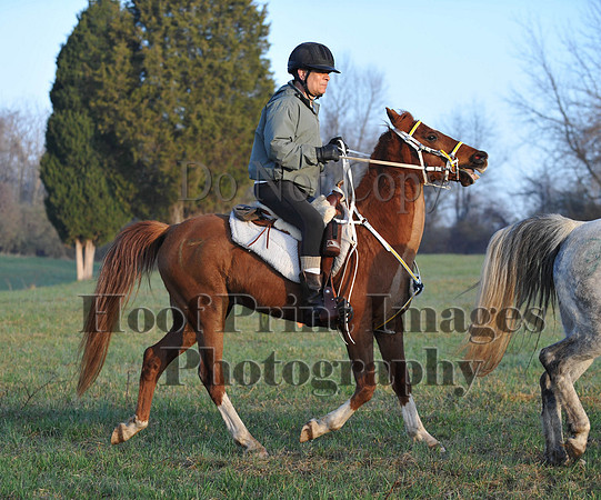Foxcatcher(4-12-14)0317