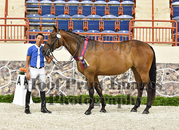 CWdressageI(8-20-16)1684