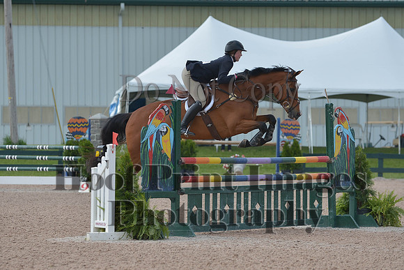 BRSa(5-17-14)HChAdJ0102