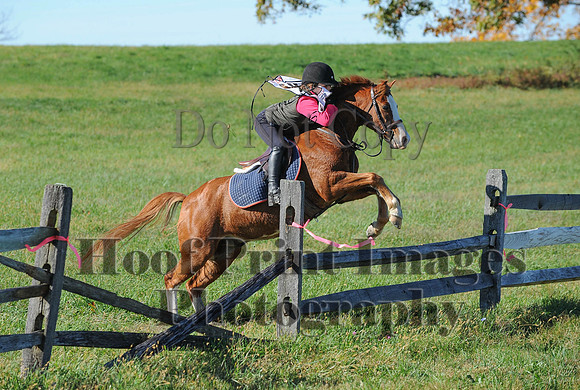 Cheshire(10-19-14)0523