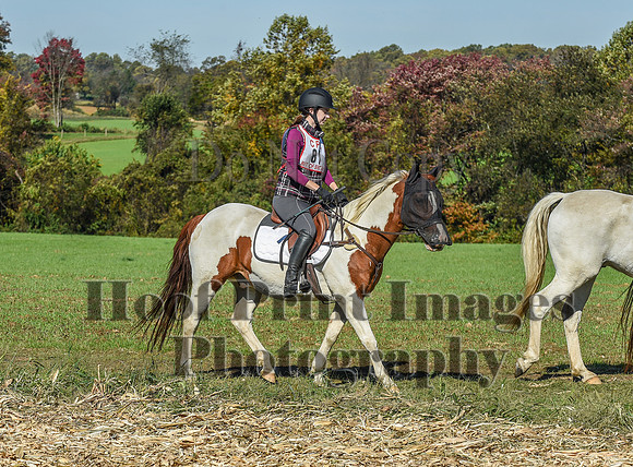 CheshirePC(10-18-20)0398