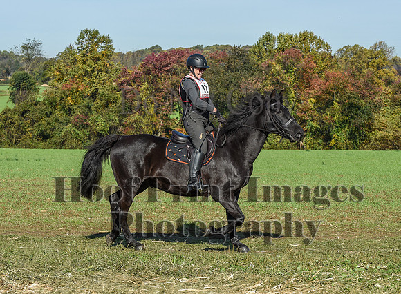 CheshirePC(10-18-20)0189