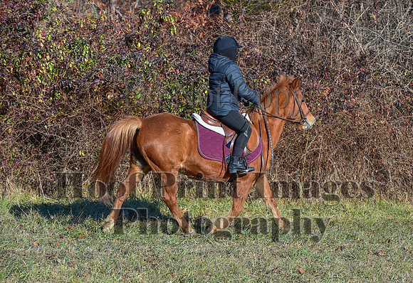 FairHillFallPC(11-30-24)0230