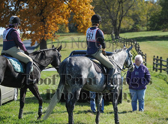 Cheshire(10-20-13)0278