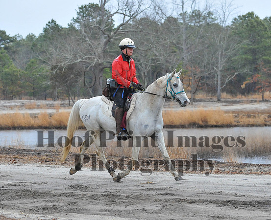 Rabbit(3-29-14)0191
