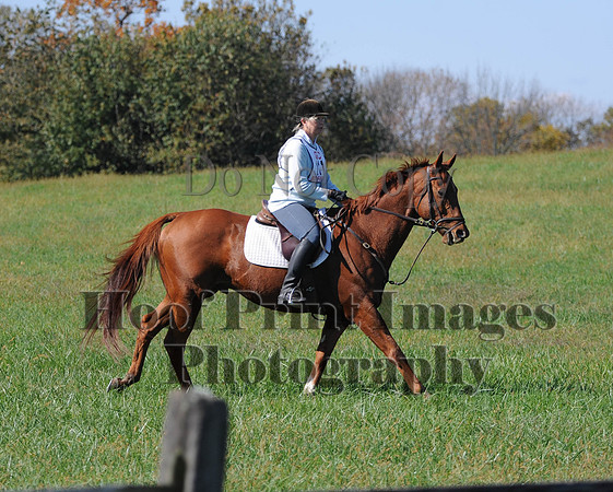 Cheshire(10-20-13)0031