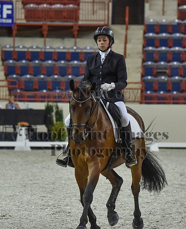 CWdressageI(8-20-16)1300
