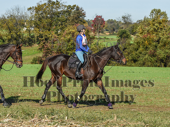 CheshirePC(10-18-20)0238