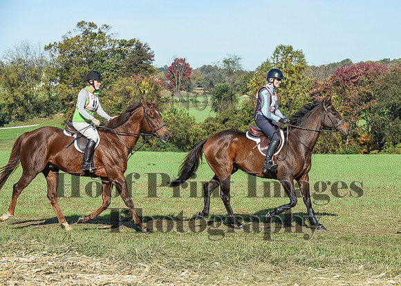 CheshirePC(10-18-20)0086