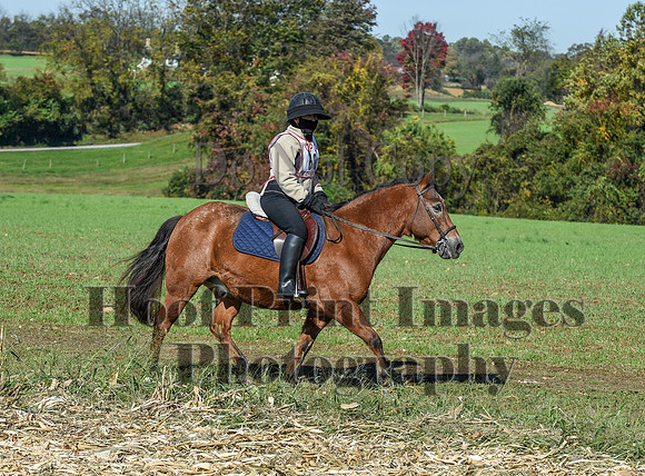 CheshirePC(10-18-20)0316