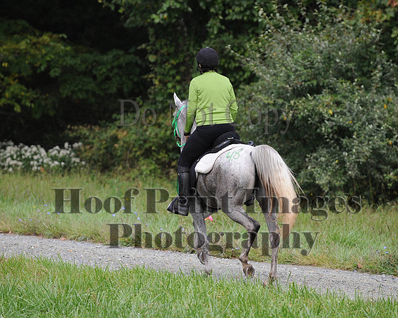 ChesapeakeCTR(9-20-14)0285