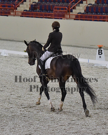 CWdressageII(8-21-16)2085