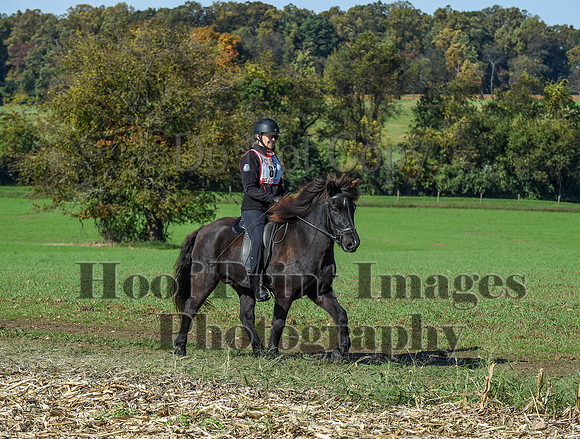 CheshirePC(10-18-20)0304