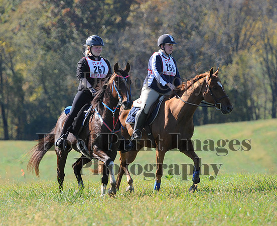 Cheshire(10-20-13)0325