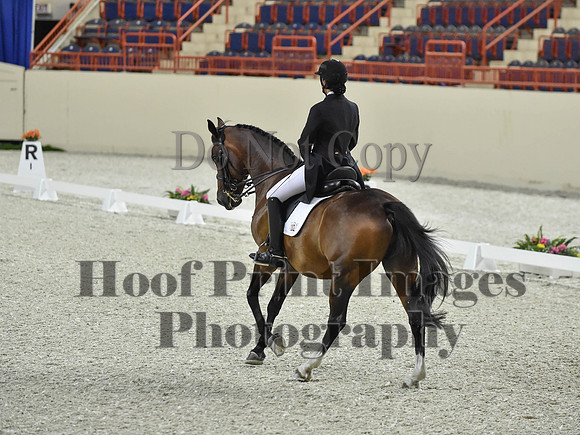 CWdressageI(8-20-16)1552