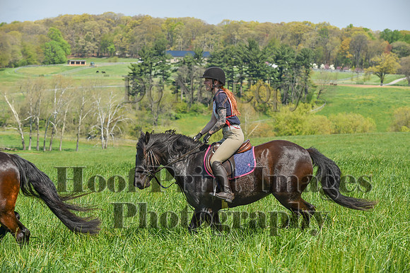 CheshireSpringPC1(4-28-24)0138