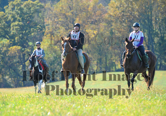 Cheshire(10-20-13)0567