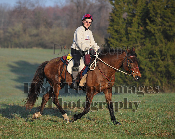 Foxcatcher(4-12-14)0502