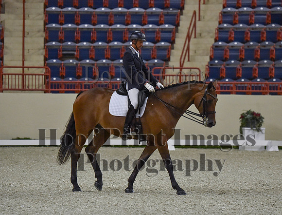 CWdressageI(8-20-16)0476