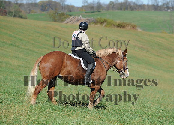 Cheshire(10-19-14)0385
