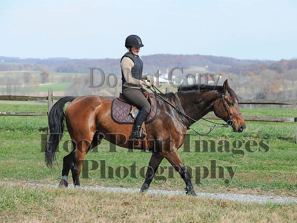 AndrewsBr(11-9-14)0267