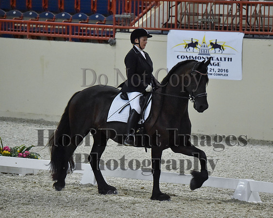 CWdressageII(8-21-16)2197