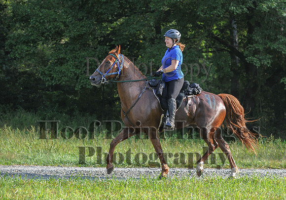 ChesapeakeCTR(9-20-14)0077