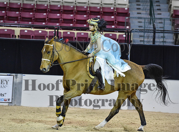 MidAtEqFest(11-14-15)1655