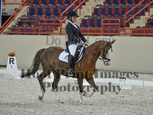 CWdressageI(8-20-16)0567