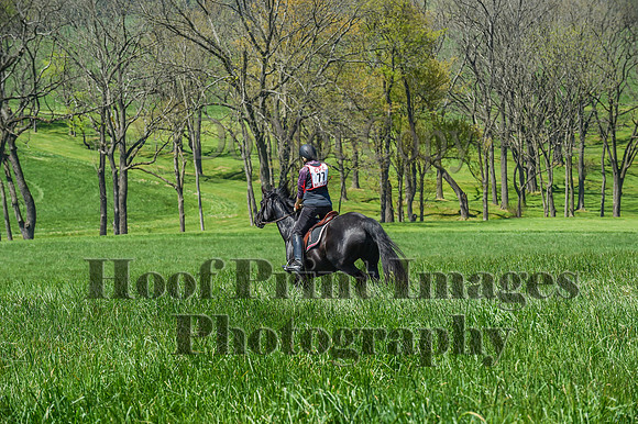 CheshireSpringPC1(4-28-24)0495