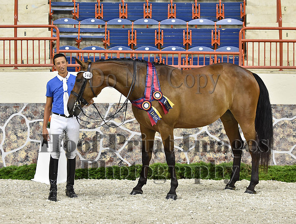 CWdressageI(8-20-16)1707