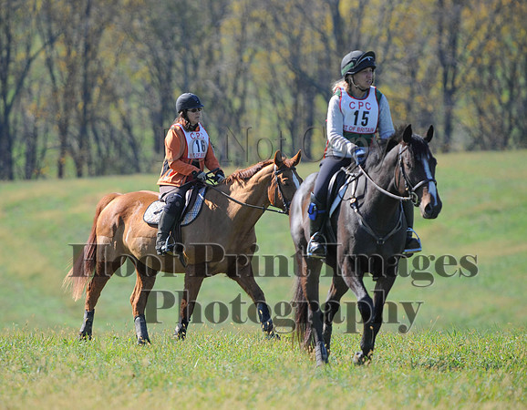 Cheshire(10-20-13)0435