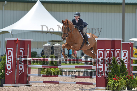BRSa(5-17-14)HChAdJ0255