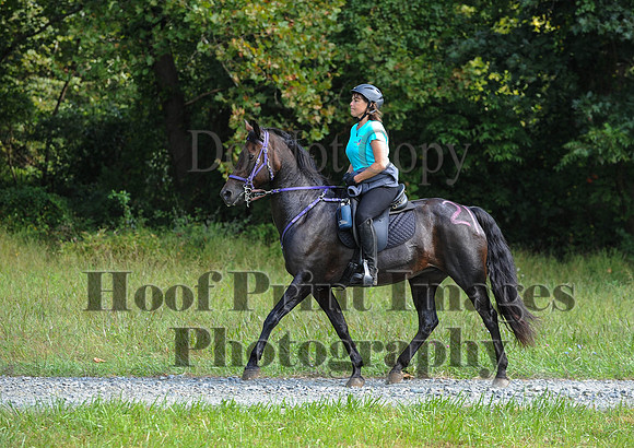 ChesapeakeCTR(9-20-14)0378
