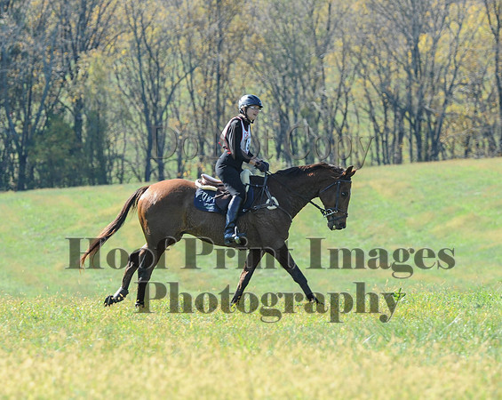 Cheshire(10-20-13)0515