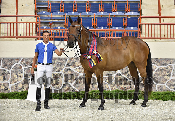 CWdressageI(8-20-16)1712